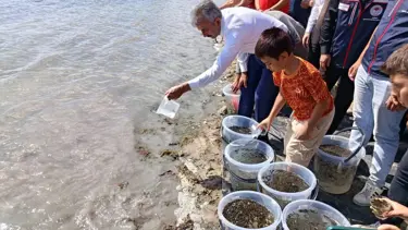 Edirne'de 30 bin yavru sazan gölete bırakıldı
