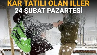 Bugün okullar tatil mi? 24 Şubat Pazartesi hangi illerde okullar tatil oldu? (Kar tatili olan iller listesi)