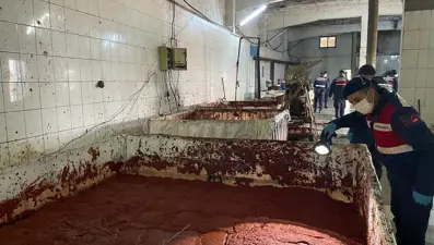 Besi çiftliğinde insan sağlığına aykırı salça üretimi