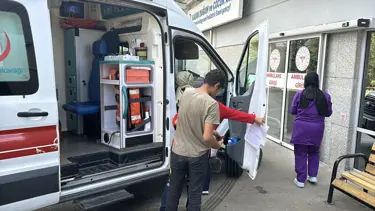 Düzce'de yılanın ısırdığı 15 yaşındaki çocuk hastaneye kaldırıldı