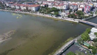 Marmara'da endişelendiren görüntü: "Bölge ciddi risk altında"