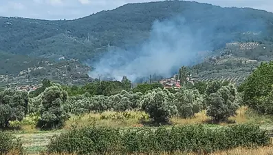 Menteşe’de zeytinlik alanda yangın
