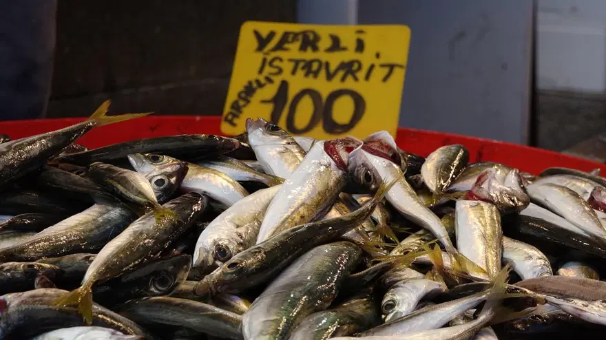 Balık avı başladı, istavritin fiyatı yarıya düştü 1