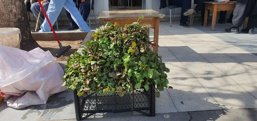 HEM LEZZETLİ HEM DE SAĞLIĞA FAYDALI 1