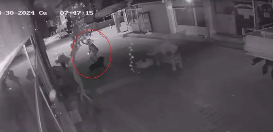 İzmir'de yeni tanıştığı kızı rehin aldı! Bir anlık dalgınlıkla yakalandı 2