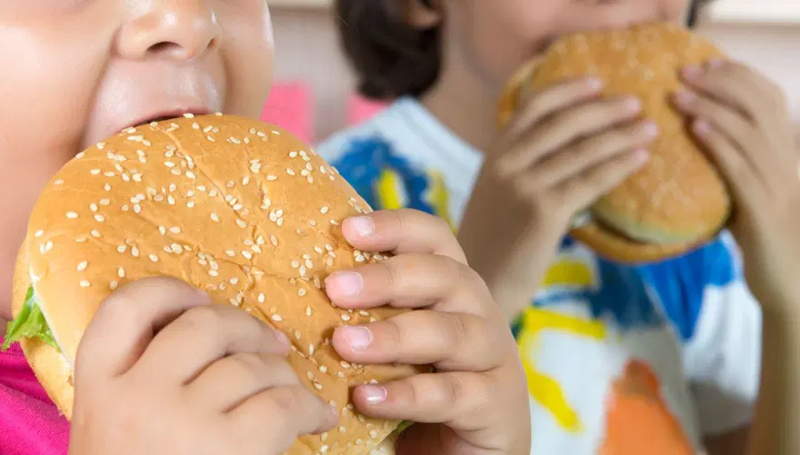 Kısırlık ve kanser yapıyor: Ünlü fast food markalarının ürünlerinin çoğunda zehirli kimyasallar bulundu 10
