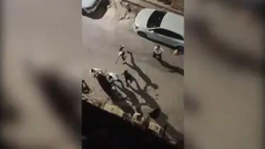 Şanlıurfa'da pala ve silahlı kavga