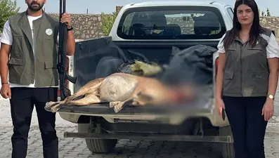 Tunceli'de yaban keçisi avlayan kişiye 253 bin lira ceza