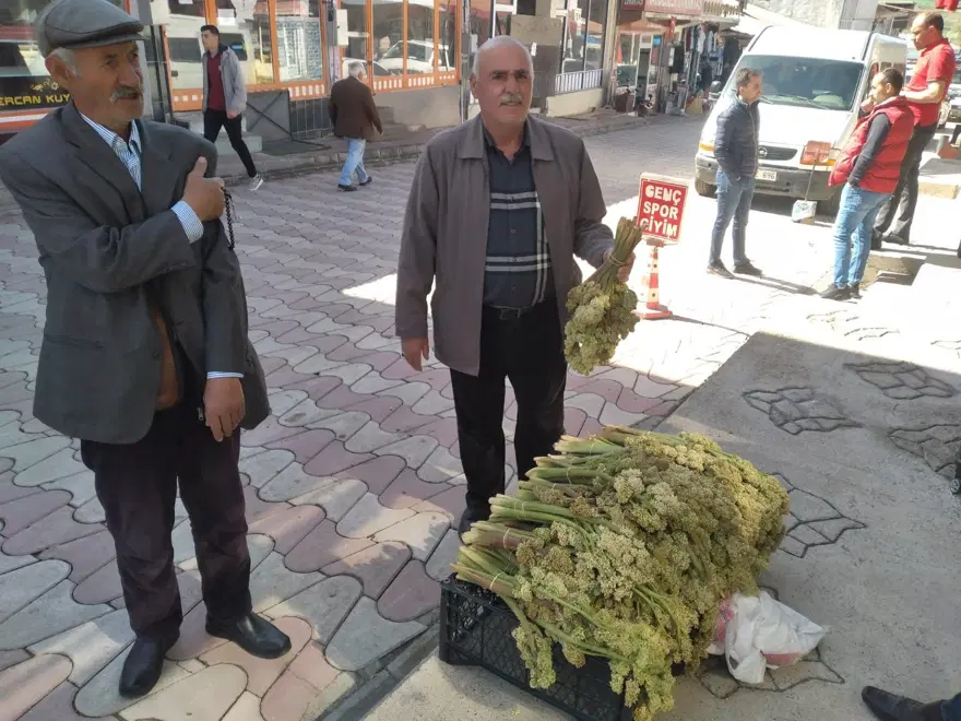 Tezgahta yerini aldı, ünü Amerika'ya kadar yayıldı: A, B1, B2, E, ve K vitamini deposu 2 Tezgahta yerini aldı, ünü Amerika'ya kadar yayıldı: A, B1, B2, E, ve K vitamini deposu 2
