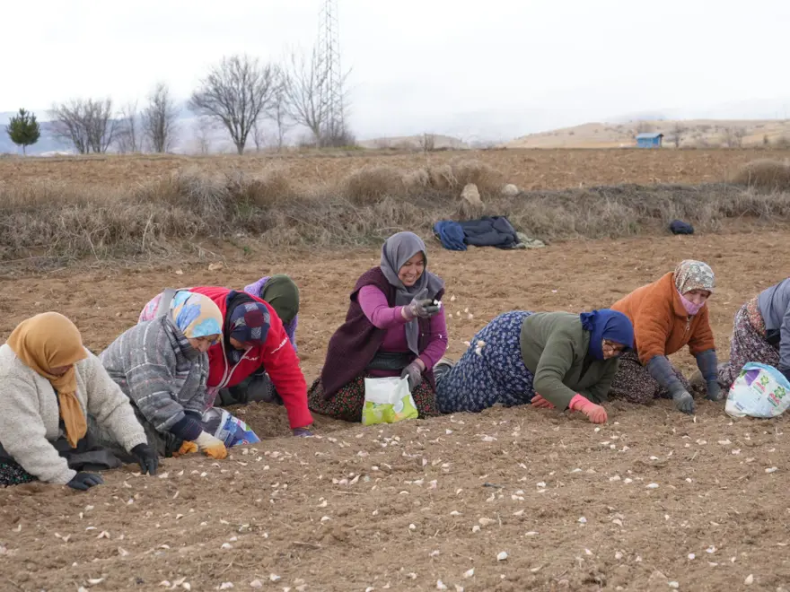 "HEM EV İŞLERİNİ YAPTIK HEM DE TARLADA ÇALIŞTIK" 3