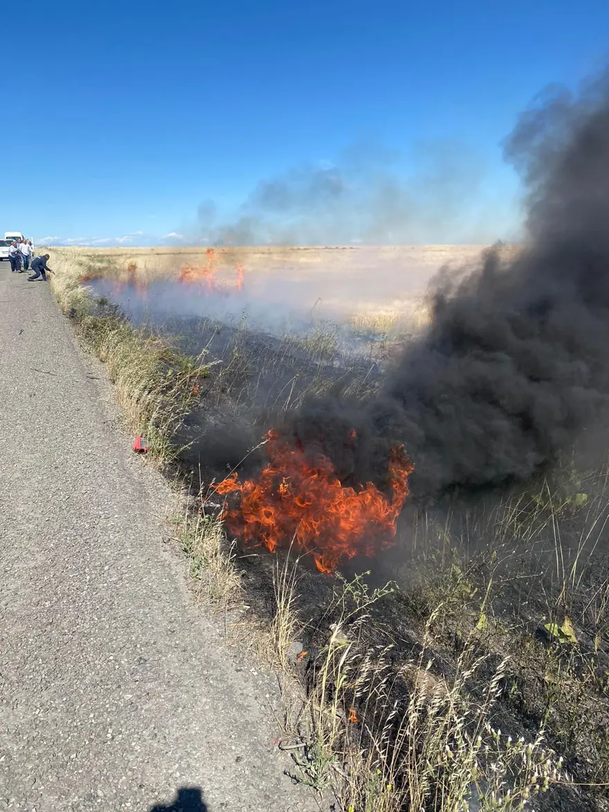 Şırnak'ta 60 dönüm buğday tarlası kül oldu 