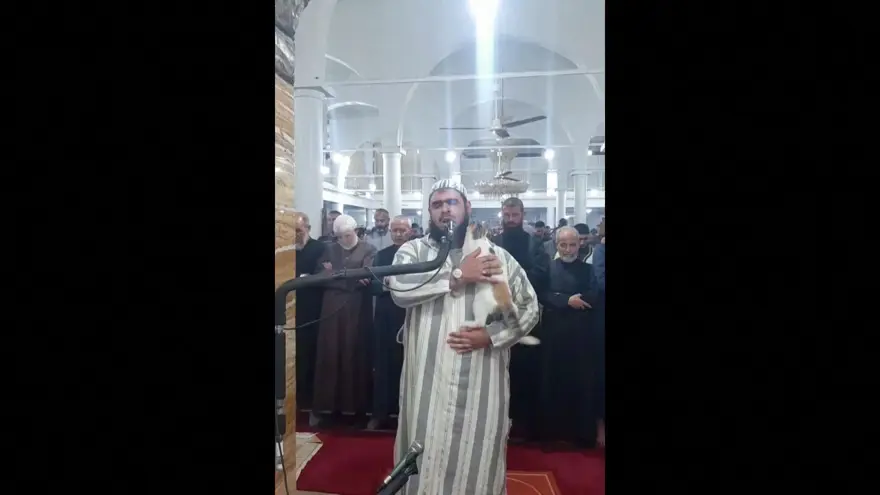Teravih namazı kıldıran imamın kedi şefkati viral oldu 12