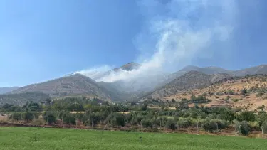 Kahramanmaraş’ta orman yangını