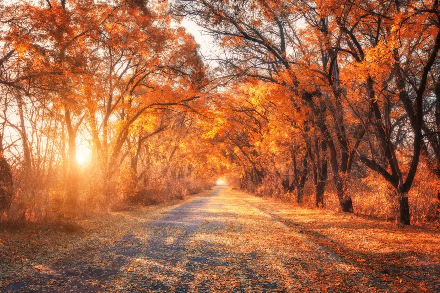 BAĞIŞIKLIK SİSTEMİNİZE DİKKAT EDİN 2 BAĞIŞIKLIK SİSTEMİNİZE DİKKAT EDİN 2