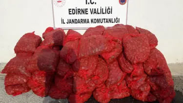 Edirne'de 1 ton kaçak midye ele geçirildi
