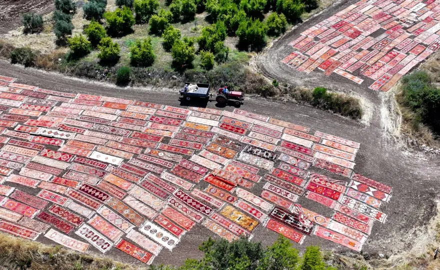 Antalya'da tarlalara serilen halılar görsel şölen sunuyor 4
