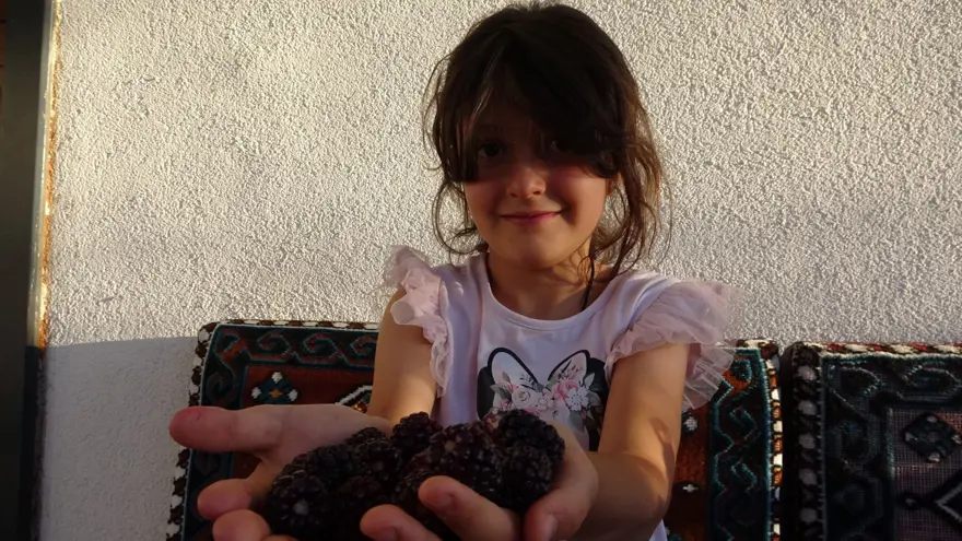 3 yıl önce hobi olarak başladı şimdi paraya para demiyor! Kilosu 150 liradan satılıyor, bahçenin önünde kuyruk oluyor 1