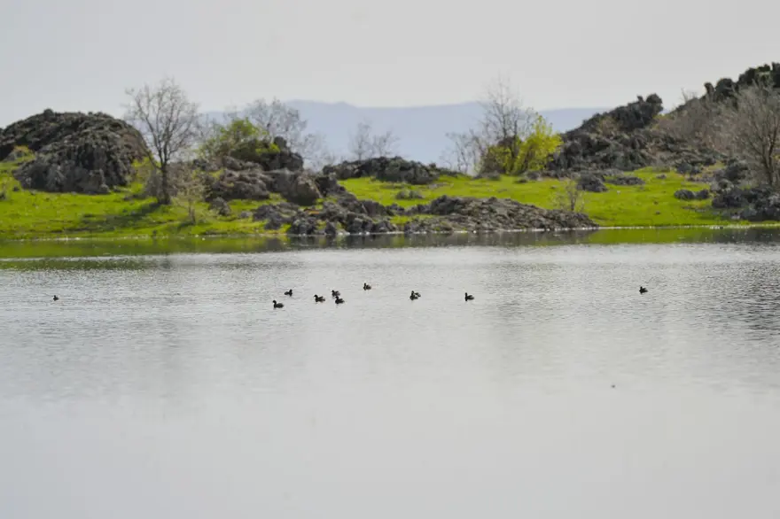 Sülüklü Göl'de ilkbahar renkleri 20