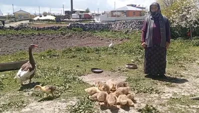 Fiyatı gram altınla yarışıyor: Sofraların gözdesi