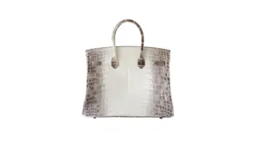 Bir çantaya 380 bin dolar