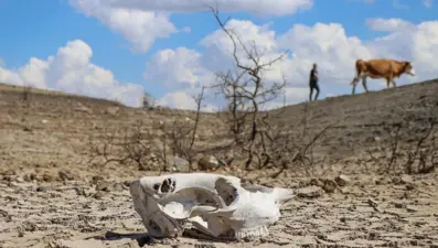 Baraj kurumak üzere! Sular çekildi, eski yol ortaya çıktı