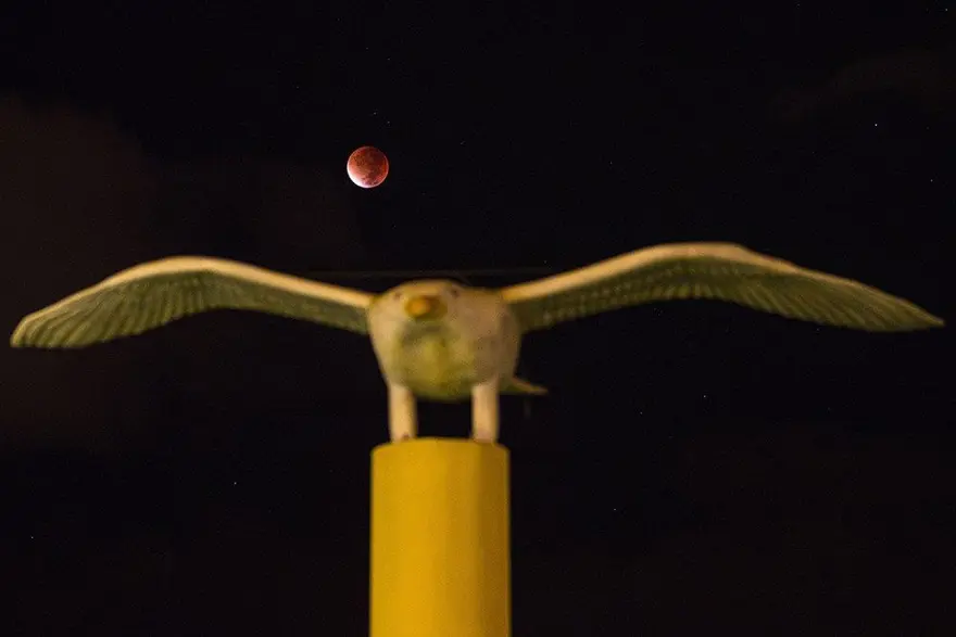 Süper Ay için geri sayım (Süper Ay Türkiye'den izlenebilecek mi?) 26