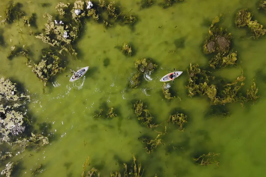 Bilim insanlarının çalışmalarına konu oluyor: Van Gölü'nün çekilmesiyle ortaya çıktı 6