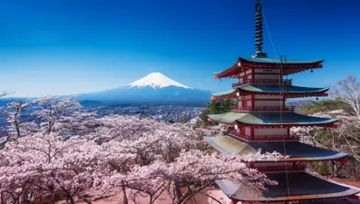 Zamanın ötesinde bir şehir: Tokyo (Tokyo gezi rehberi)
