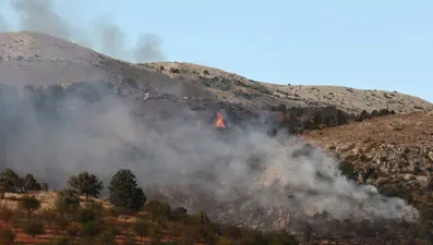 Ankara Çubuk'ta orman yangını