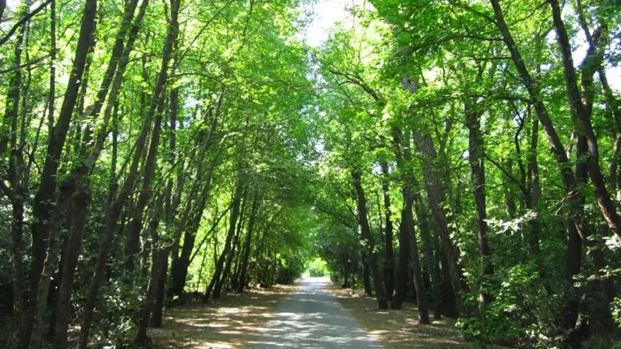 dalyan gezi rehberi, dalyan'da ne yapılır, dalyan gezilecek yerler, dalyan rehberi 5 dalyan gezi rehberi, dalyan'da ne yapılır, dalyan gezilecek yerler, dalyan rehberi 5