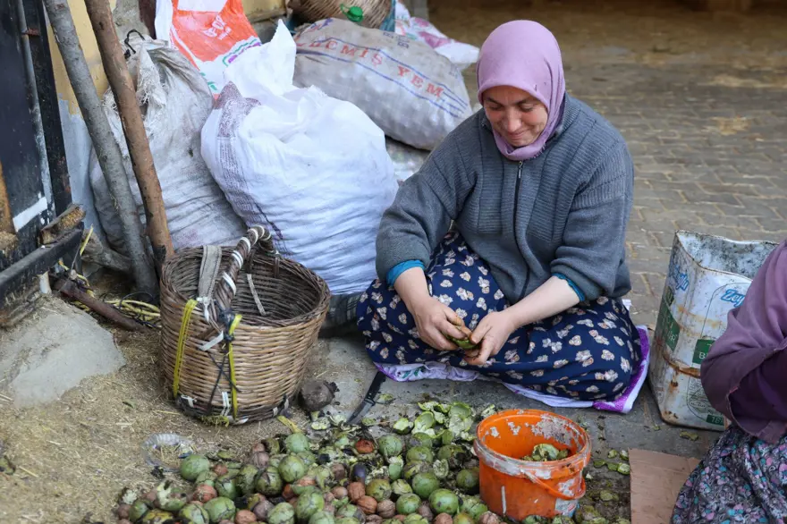 Tek tek toplayıp satışa hazırlıyorlar: En önemli geçim kaynaklarından biri 