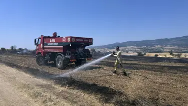 Yangın 40 dönüm tarım arazisini kule çevirdi