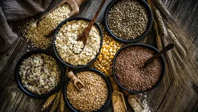 7 ayda 7,1 milyar dolarlık hububat ihracatı yapıldı