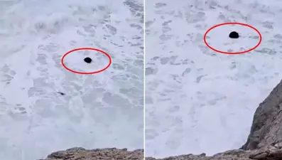 Şile sahilinde mayın bulundu