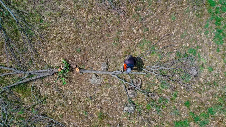 Ekmeklerini mangal kömüründen çıkarıyorlar 30