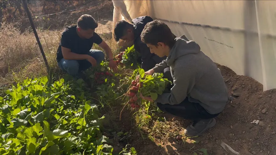 Bu okulda dersler tarlada işleniyor: Hem üretiyor hem de öğreniyorlar Bu okulda dersler tarlada işleniyor: Hem üretiyor hem de öğreniyorlar
