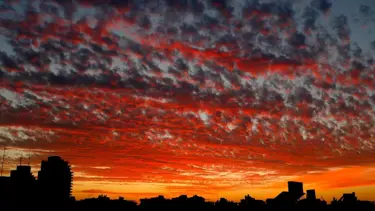 İnsanlar iklim değişikliği korkusunu daha fazla hissetmeye başladı