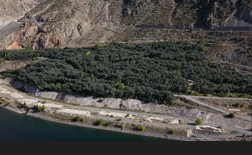 Dalından tek tek topladılar: "Üstün Lezzet Ödülü" kazanmıştı 1