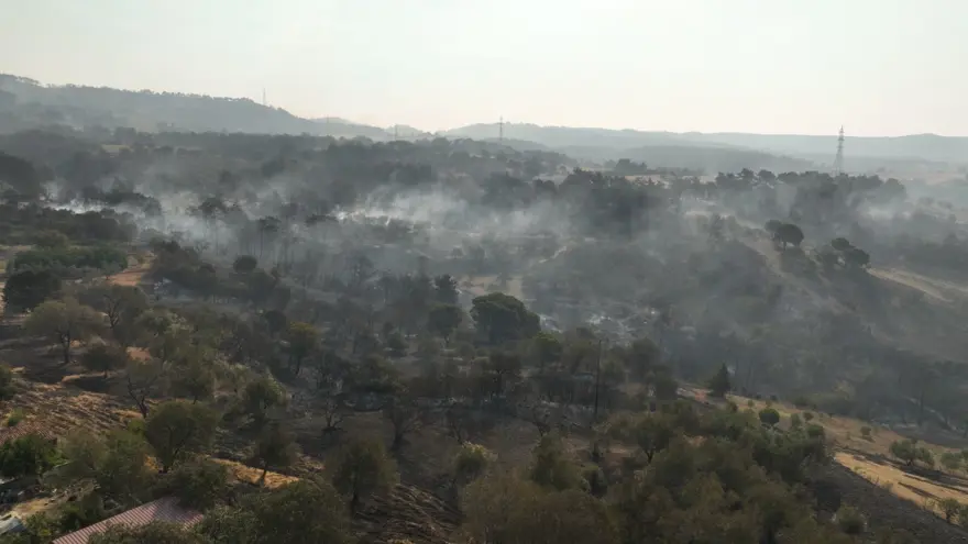 Çanakkale'de orman yangını kontrol altında 90