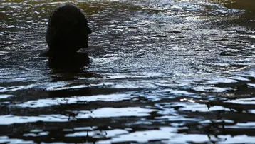 "Şifalı" denilen suya giren çift, gaz zehirlenmesi sonucu öldü