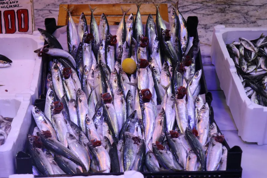 Kilosu 100 liradan satılıyor, hamsiyi geride bıraktı: Her tezgahta bol bol var 1