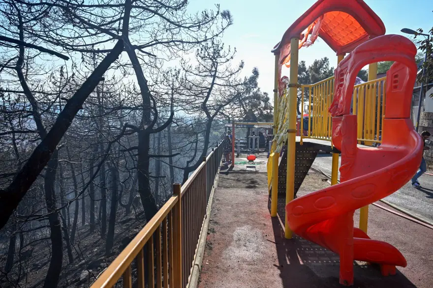 İstanbul Maltepe'de orman yangını 24