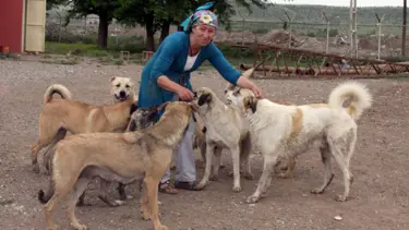 Köpekleri uğruna evsiz kaldı