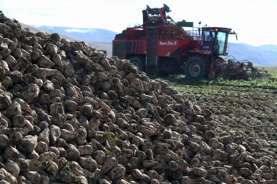 Yüzde 40 arttı: Çiftçilerden rağbet görüyor 4