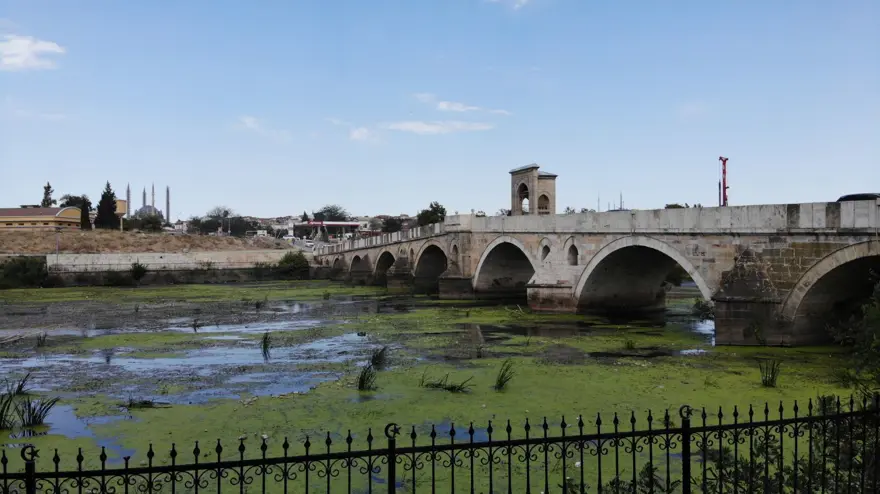 Tunca Nehri yeşile döndü 5