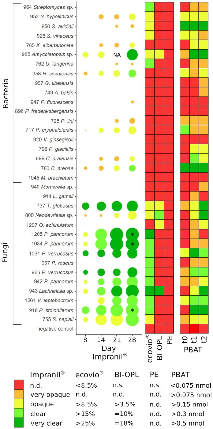 Dünyanın geleceği için dönüm noktası: Plastikleri düşük sıcaklıkta parçalayabilen mikroorganizmalar keşfedildi 5