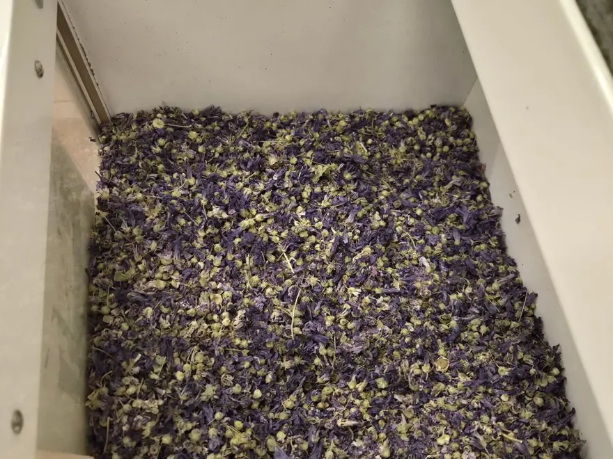 Kışın favorisi doğal ilaç: Sütle kaynatıp içince öksürüğe iyi geliyormuş 3