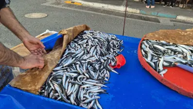 150 liradan tezgahta: Hafta sonuna göre geriledi