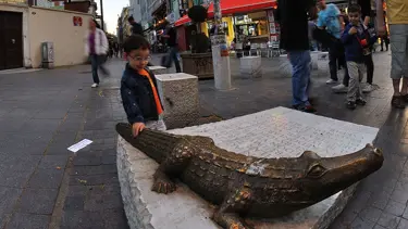 Kadıköy'de timsah polemiği