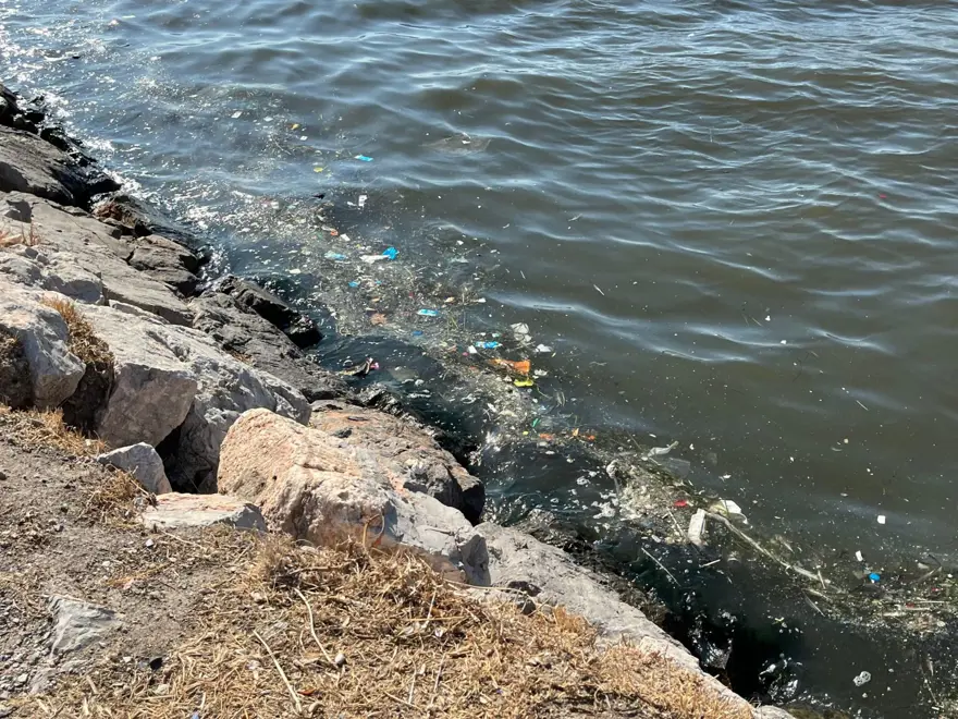 "BÜYÜK BİR DOĞA KATLİAMIYDI" 3